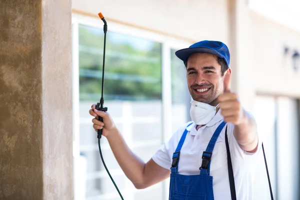 Lima Wasp Removal