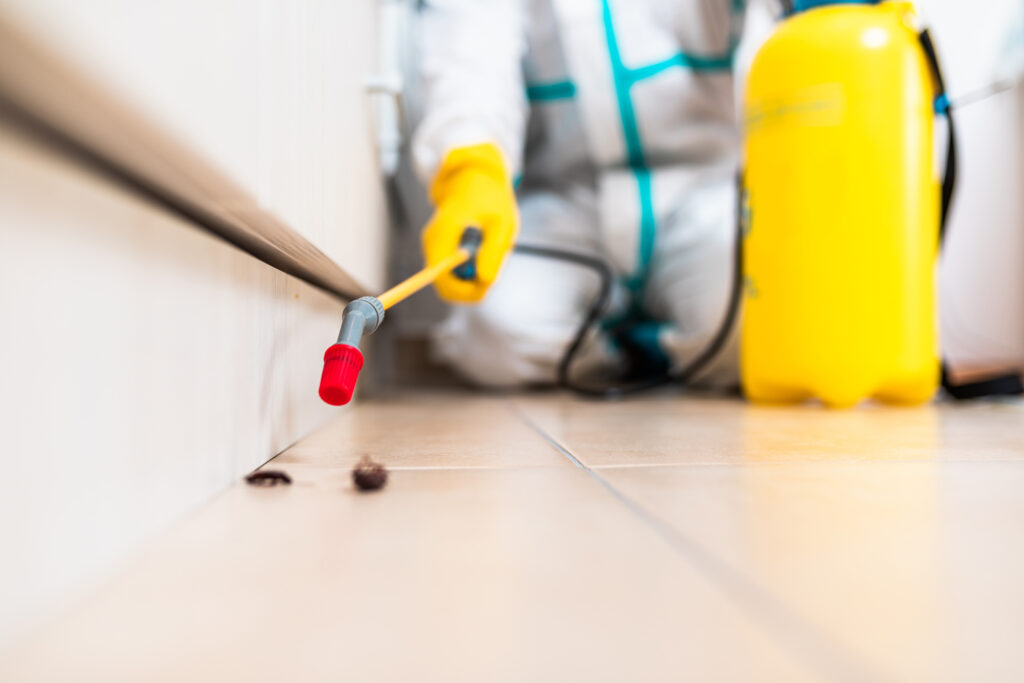 Lima Cockroach Experts