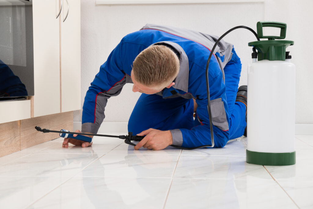 Lima Ant Control Xperts